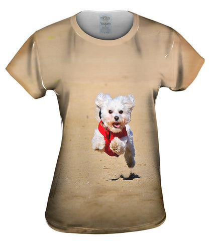Super Fast Maltese