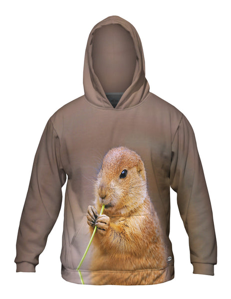 Juicy Grass Prairie Dog&nbsp;Mens Hoodie Sweater