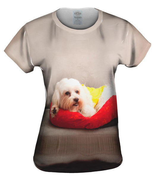 Maltese On Doggy Bed Womens Top