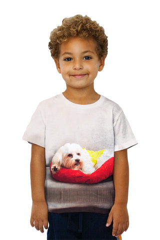 Kids Maltese On Doggy Bed