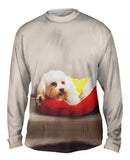 Maltese On Doggy Bed