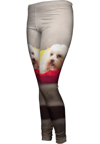 Maltese On Doggy Bed