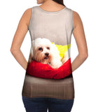 Maltese On Doggy Bed