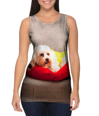Maltese On Doggy Bed