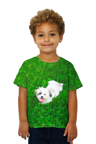 Kids Maltese Rolling Around