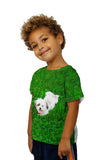 Kids Maltese Rolling Around