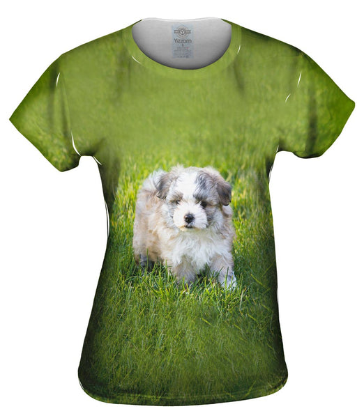 Giddy Salt And Pepper Maltese Womens Top