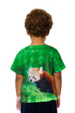 Kids Fancy Red Panda