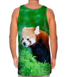 Fancy Red Panda