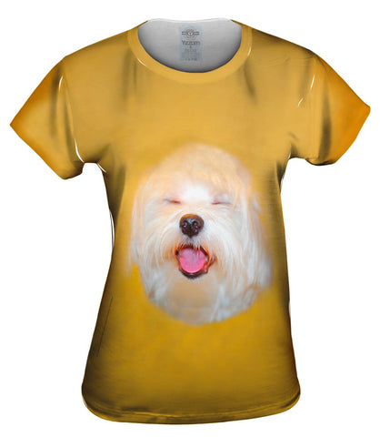 Singing Maltese