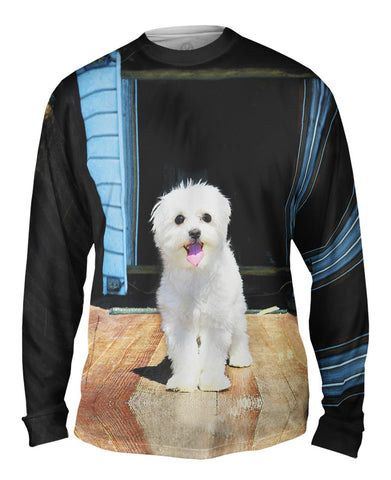 Glistening Maltese