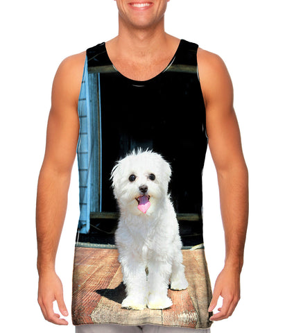 Glistening Maltese