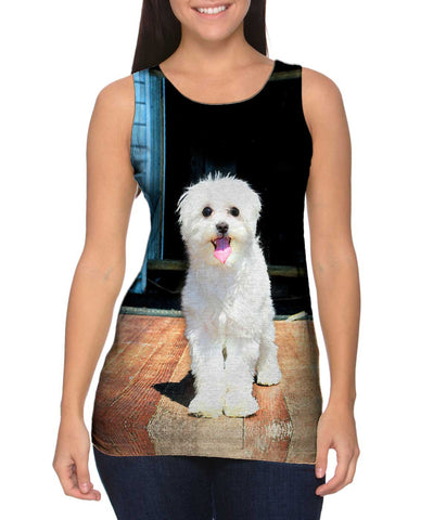 Glistening Maltese