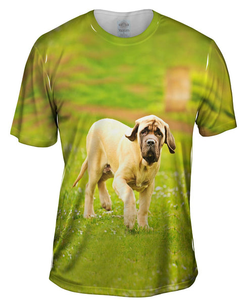 Courageous Mastiff Mens T-Shirt