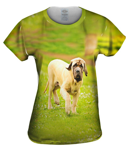 Courageous Mastiff