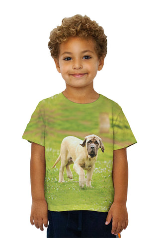 Kids Courageous Mastiff