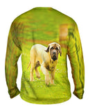 Courageous Mastiff