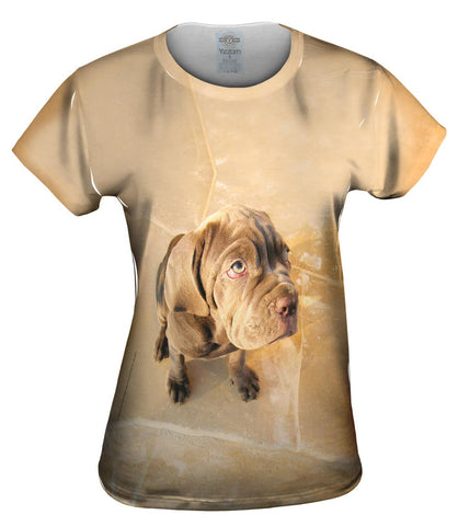 Not Me Mastiff