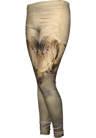 Not Me Mastiff