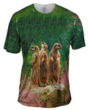 Three Meerkats