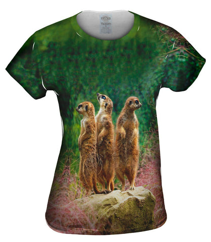 Three Meerkats