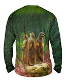 Three Meerkats