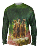 Three Meerkats