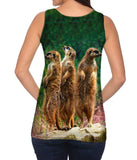 Three Meerkats