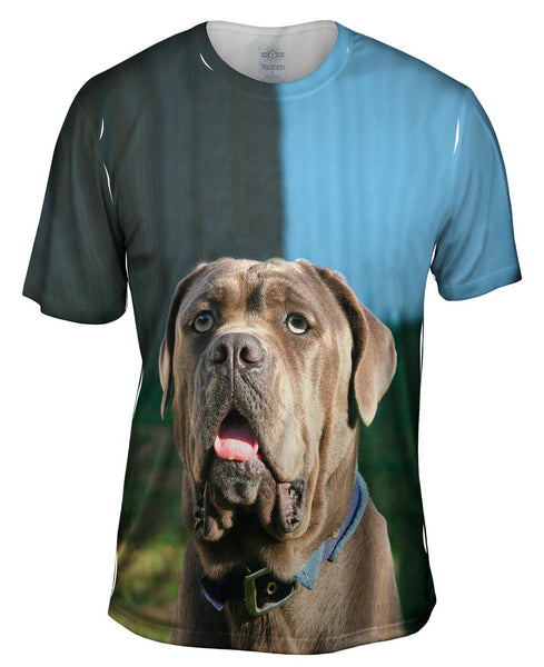 Omg Green Eyed Mastiff Mens T-Shirt