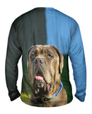 Omg Green Eyed Mastiff