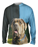 Omg Green Eyed Mastiff