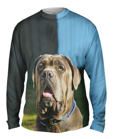 Omg Green Eyed Mastiff