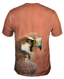 Fearless Baby Falcon