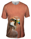 Fearless Baby Falcon