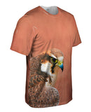 Fearless Baby Falcon