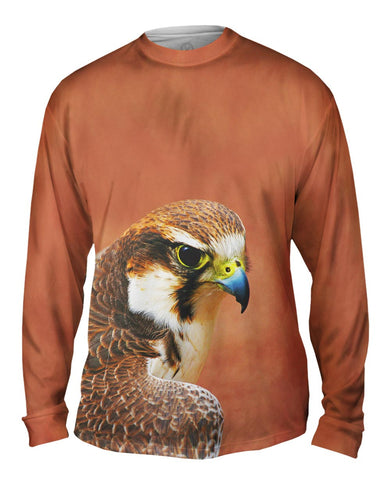 Fearless Baby Falcon