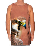 Fearless Baby Falcon