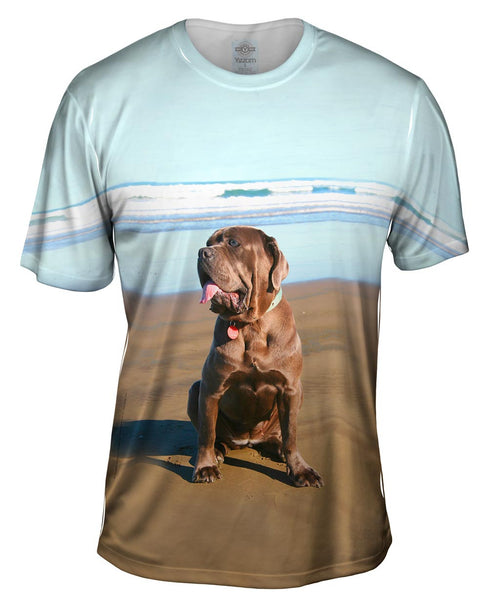Getting Some Sun Mastiff Mens T-Shirt
