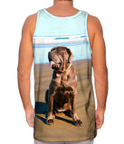 Getting Some Sun Mastiff