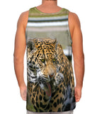 Keeping Clean Jaguar