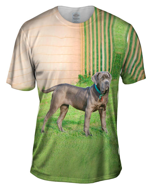 Brave Mastiff Mens T-Shirt