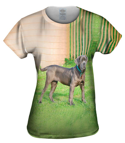 Brave Mastiff