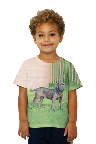 Kids Brave Mastiff