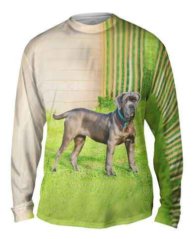 Brave Mastiff