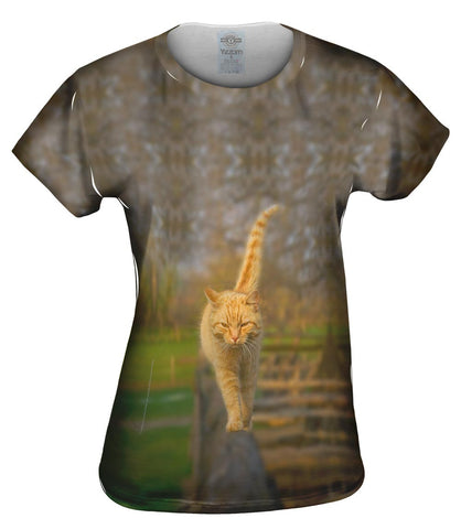 Glistening Tree Cat