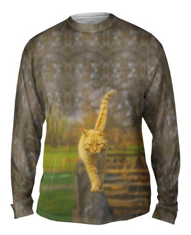 Glistening Tree Cat