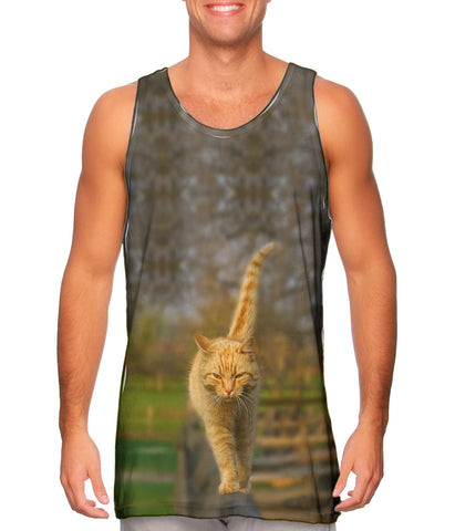 Glistening Tree Cat