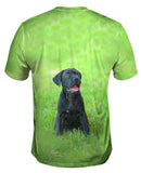 Giddy Black Mastiff