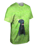 Giddy Black Mastiff