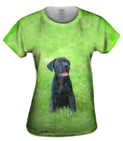 Giddy Black Mastiff